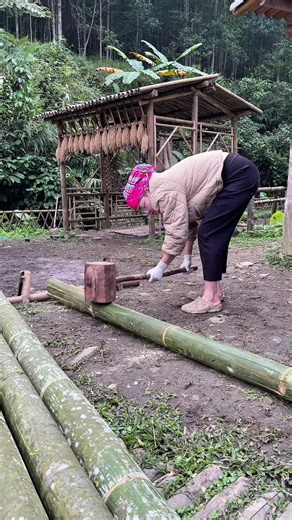 Chuẩn Bị Tre: Cách Làm Sàn Chòi Mới Từ Tre