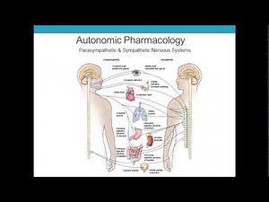 Pharmacology Lecture for Paramedics