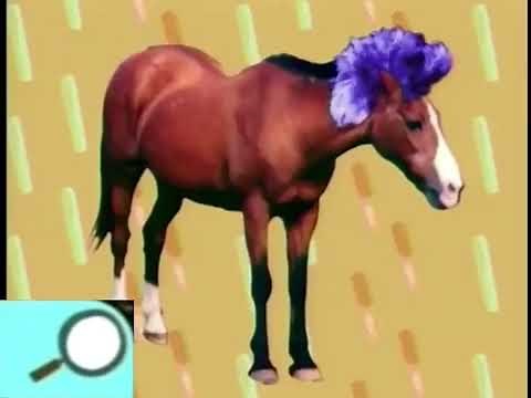 Noggin's Show & Tell: Hair Quiz (Elmo's World)