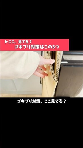 Three areas in your kitchen you should reconsider to combat cockroaches.
