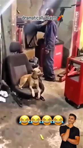 @meme_madness_02 | Only unluckiest person's know the pain it holds 🤣🤣🤣 | Instagram