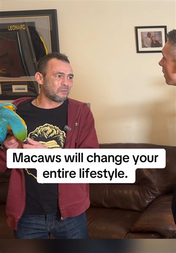Understanding the Commitment of Macaw Ownership