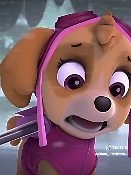 Yall remember when skye got hurt in the mountains? 😭 #skyepawpatrol #pawpatrol #pawpatroledits #pawpatrolmovie #edits #fyp