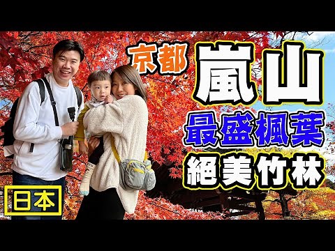 【日本 京都 嵐山】最強楓葉 嵐山竹林 渡月橋 常寂光寺 寶筐院