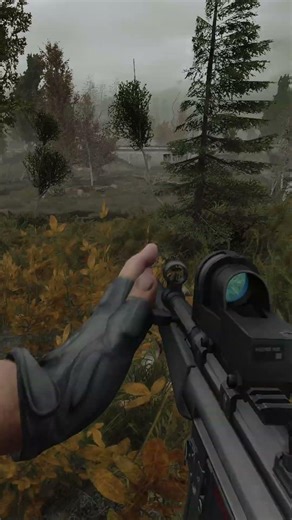 Got A Glimpse Of The Afterlife #gaming #gaming #zdrt #stalker #stalkergamma #chernobyl