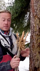 How to make a pine or spruce pitch torch. From my show SOS HOW TO SURVIVE. Now syndicated all over the US, check your local listings. | Creek Stewart