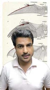 Homologous Organs #evolution #class12 #class11biology #genetics #homologous #class12biology #mbbs