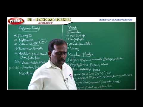 Kingdom-Fungi || Basis of Classification || Biology || TN 7th Std Science