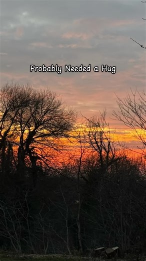 #sunsets #dogwalks #walkies #mentalhealth #dogtherapy #twilight #eveningwalks #walking #mentalhealthmatters #prettysky #sunsetsky #takecareofyou #bekindtoyourself #dogs #doggos #tiktokdog #dogtok #tiktokker #doginfluencer #petlove #stunning #redsky #petinfluencer #trends #affiliatemarketing #reflective #popular #cockapoo #dogcontent #contentcreator #mansbestfriend #fyp #discover #recommendations #doggosdoingthings #dogfriendly @baileyandcoco #beautifull