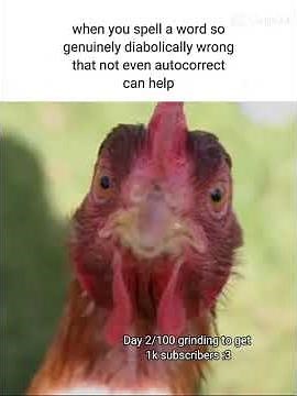 When you misspell a word... #funnymemes #memes #funnypictures #funny #funnyimages #chicken