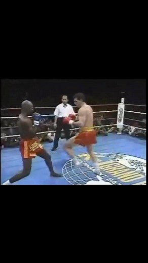 K-1 1993 Grand Prix Champion🏆 The Croatian Tiger Branko Cikatic #brankocikatic #kickboxer #kickboxing #croatia #hrvatska #ernestohoost | Branko Cikatic The Croatian Tiger