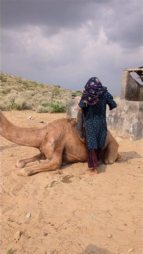 The Camel Stayed Calm… But She Didn’t! #CamelReels