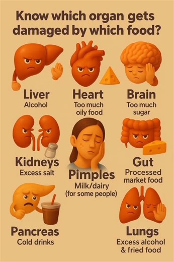 How to Stop Being Shy & Start Becoming More Confident#StopBeingShy #ConfidenceTips #SocialConfidence