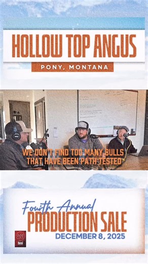 Herd Report | Hollow Top Angus is December 8th in Pony,MT . Learn all you need to know about the offering by listening to the podcast at... | Instagram