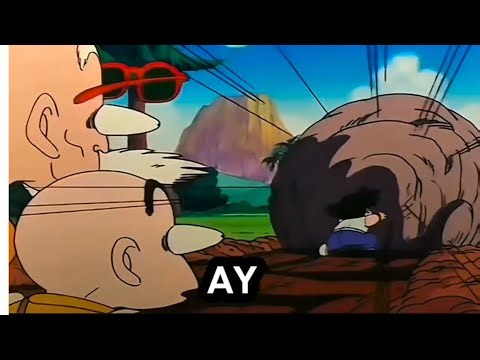 Goku and Krillin's COMPLETE Training with Master Roshi | Classic Dragon Ball
