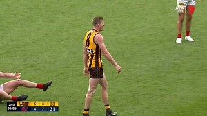 Match Review: Two Hawks, Docker fined, no charge for star Cat