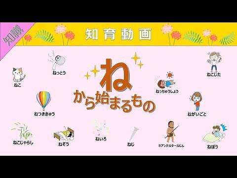【知識】語彙力UP!!「ね」から始まる言葉 知育動画