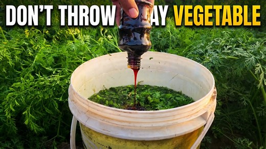 Garden hack using vegetable leaves: don't toss them until you try this