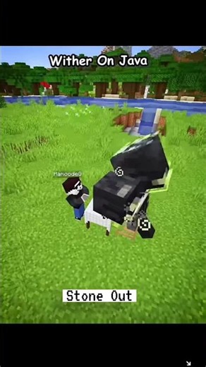 Minecraft Java Vs Bedrock Wither ‪@STONE-MC-YT‬