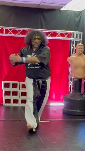 1.2K views · 146 reactions | Kenpo Karate Self Defense Short Form Three Power Zone Form Performance #kenpo #karate #martialarts #selfdefense #blackbelt | Alex Reyes | Facebook