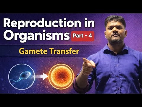 Class 12 Biology | Reproduction in Organisms Part - 4 | Fertilization Explained | Board Exam
