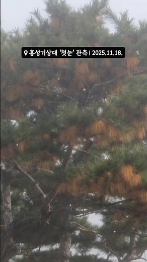 11월 18일 올가을 첫눈 관측 영상