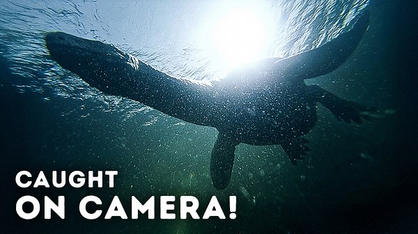 Unexplained phenomena resurface at Loch Ness in 2026