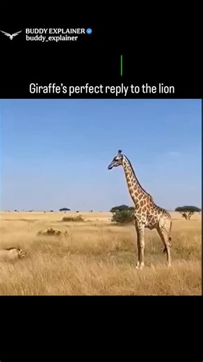 BUDDY EXPLAINER on Instagram: "In Japan, researchers are using smart pavements to turn everyday human movement into clean energy ⚡. These walkways are embedded with special piezoelectric materials that capture kinetic energy from footsteps. When people walk, run, or jump, the surface bends slightly, creating mechanical pressure. Piezoelectric crystals then convert this pressure into usable electricity 🔋. The generated energy can power street lights, public display screens, and even help track p