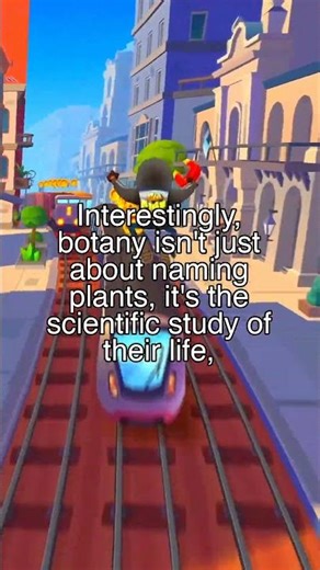 The Plant Origins of 'Botany'