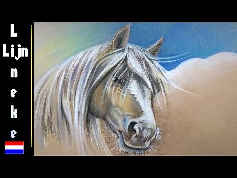 Hoe teken je een PALOMINO Paard Pastel potlood