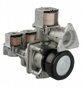 Rheem RTG20212C Gas Valve Assembly