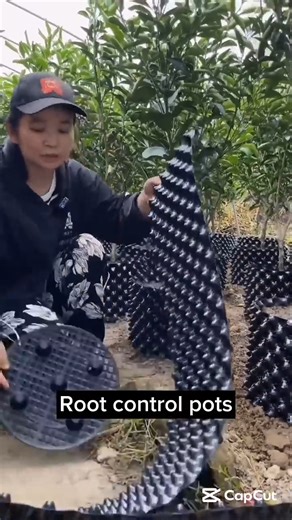 7.2K views · 12 reactions | Root control pots for healthier root growth #gardeningtips #planting | Farmya | Facebook