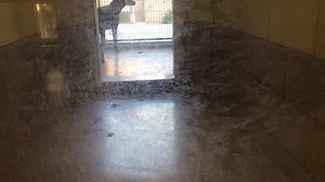 Euthanized 🚨🚨🚨LAST CALL🚨🚨🚨 NO LONGER LISTED STATUS RED Behavior: fearful, unsocial HAS BEEN AT THE SHELTER SINCE AUGUST! REX #A1469874 (owner surrender) I am a male, black and tan Doberman Pinscher and German Shepherd Dog. 60lbs The shelter staff think I am about 2 years and 2 months old. I have been at the shelter since Aug 29, 2018. Avail Aug 29. https://petharbor.com/pet.asp?uaid=RVSD6.A1469874 Video Credit 📷: Erin Tavaglione Saving Riverside Shelter Dogs Facebook page is volunteer run