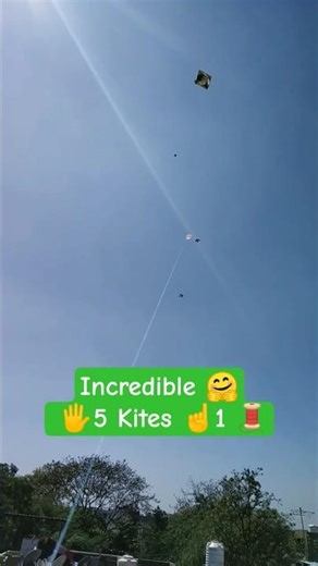 Incredible 😍 5🖐️Kites flying with 1☝️ thread | kite flying experiment from rooftop