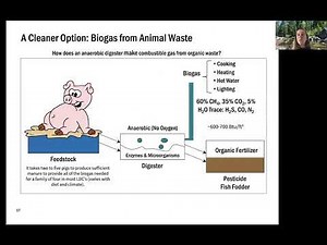 Biomass 10-Minute Take | Diana Gragg | Stanford Understand Energy
