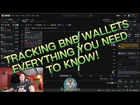 BNB Wallet Tracking: My Secret to Smarter Trades!