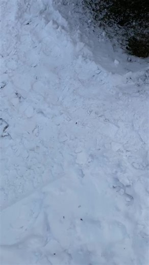 New add!! Waiting on 1 more#boostofhope #thankyouveterans #fyp #foryou #foryoupage #godblessamerica #fjb #letsgobrandon