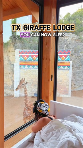 1.1M views · 5.1K reactions | Ultra-Exclusive Overnight Lodge with...