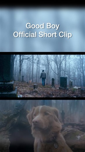 Good Boy dog 🐕 ရုပ်ရှင်မှ တစ်မိနစ်စာ Official Short Clip လေးထွက်လာပါတယ် #GoodBoy | International Movie News - IMN
