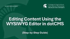 Editing Content Using the WYSIWYG Editor in dotCMS