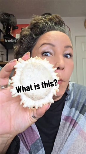 2.4K views · 370 reactions | Did you know that moose naturally shed...