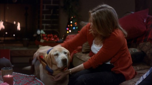 8.2K views · 425 reactions | "A Dog Named Christmas" is the perfect movie to watch with your pooch. Tune in to Hallmark Drama today at 5pm/4c for this heartwarming holiday story. | Hallmark Hall of Fame | Facebook