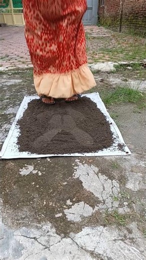 membuat boneka kelinci!!! lompat 5 x langsung jadi dech#shorts#comedy #funny #fyp