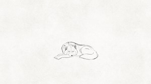 Happy International Animation Day from all of us at Lupus Films. In honour of this wonderful day, we’d like to share our lupine ident that was created by some of our talented crew - it was directed by Sharon Liu with animation by Nicolette Van Gendt and music by Aaron Lampert. #InternationalAnimationDay #handdrawnanimation #2Danimation | Lupus Films