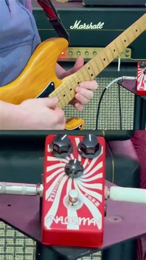 Analogman Peppermint Fuzz Pedal #guitar #stratocaster #fender #clark