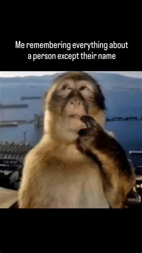 V_PSYCHO on Instagram: "Forgetting is the inability to recall or recognize information that was previously learned. Main Theories of Forgetting Trace Decay Theory Memory fades over time when it is not used or rehearsed. Interference Theory Memories compete with each other. Proactive interference: old learning interferes with new Retroactive interference: new learning interferes with old Retrieval Failure Theory Memory is stored but cannot be accessed due to lack of proper cues. Motivated Forgett