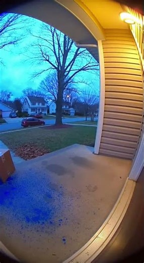 Blue Dye Detonation! #porchpirate #bluedye