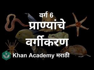 Classification of Animals [Marathi], Diversity in Living Organisms |Grade 6 | Science | Khan Academy
