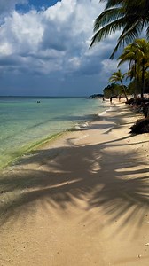 6.4K views · 52 reactions | I booked the coolest shore excursion at the Occidental Resort in Cozumel. Resort For a Day is my go to for shore excursions when I cruise! Their website is easy to use, just plug in what ship and sail date you are going on, and leave the rest to Resort For a Day! Use code AlexTheCruiser for $5 off per person on their website! | Alex Roberson | Facebook