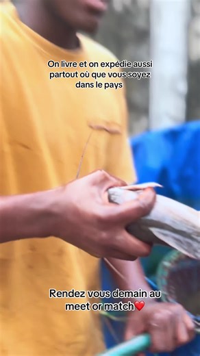 Peut importante ou tu te trouves dans la ville où au Cameroun si tu as besoin des poissons silures frais contacte nous directement au 📞:691819972 ↗️NOUS AVONS AUSSI BESOIN DE 2 filles qui s’y connaissent en braise de poissons 🐟 pour nous contenter c’est le même numéro Appelle le même numéro pour que je vienne te chercher hors du portail